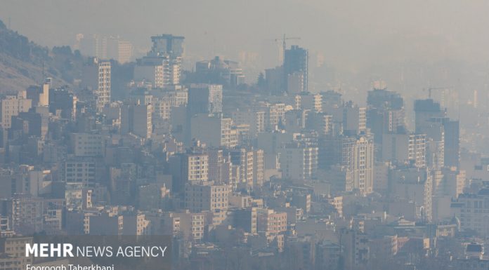 نجات ریهها در هوای آلوده با نسخه طب ایرانی – خبرگزاری مهر | اخبار ایران و جهان