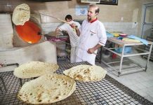 کدام نان کمترین سبوس گیری را دارد – خبرگزاری مهر | اخبار ایران و جهان