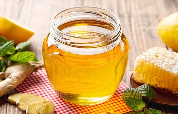 ناگفته هایی از واقعیت عسلهای درمانی – خبرگزاری مهر | اخبار ایران و جهان