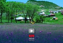 با جاذبه های گردشگری استان زیبای گلستان آشنا شوید – خبرگزاری مهر | اخبار ایران و جهان