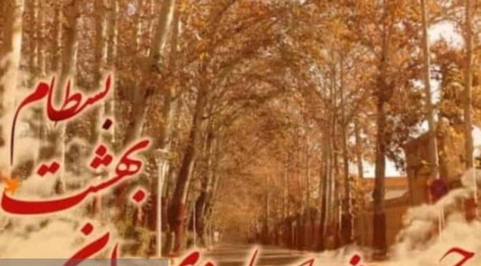 «بسطام» میزبان برگزاری جشنواره برگ های پاییزی شد – خبرگزاری مهر | اخبار ایران و جهان