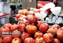 بازار شب یلدا در مازندران – خبرگزاری مهر | اخبار ایران و جهان