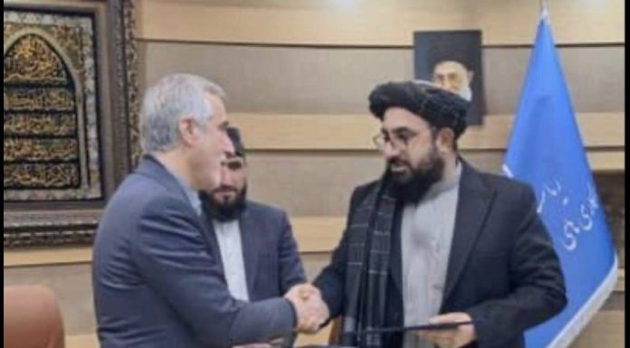 جزئیات همکاری ایران و افغانستان در حوزه غذا و دارو – خبرگزاری مهر | اخبار ایران و جهان