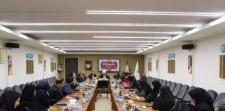 یزد میزبان دومین جشنواره «نارین دخت» – خبرگزاری مهر | اخبار ایران و جهان