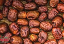 مهمترین خواص عناب | مجله سیب