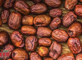 مهمترین خواص عناب | مجله سیب
