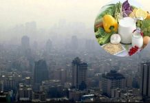 توصیههای تغذیهای برای مقابله با آلودگی هوا – خبرگزاری مهر | اخبار ایران و جهان