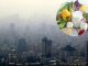 توصیههای تغذیهای برای مقابله با آلودگی هوا – خبرگزاری مهر | اخبار ایران و جهان