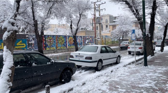 طبیعت برفی شهرکرد در آخرین روزهای دیماه – خبرگزاری مهر | اخبار ایران و جهان