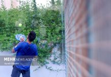 احداث ۴ زمین پدل در محله پرواز – خبرگزاری مهر | اخبار ایران و جهان