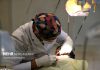 رد پیشنهاد کاهش ظرفیت آموزش پزشکی و دندانپزشکی در شورای انقلاب فرهنگی – خبرگزاری مهر | اخبار ایران و جهان
