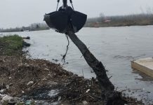مسیر تردد قایق ها در رودخانه نهنگ روگای تالاب انزلی بازگشایی شد – خبرگزاری مهر | اخبار ایران و جهان