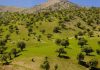 بهار در ایلام؛ «عروس زاگرس» مقصدی متفاوت برای طبیعتگردان – خبرگزاری مهر | اخبار ایران و جهان