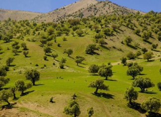 بهار در ایلام؛ «عروس زاگرس» مقصدی متفاوت برای طبیعتگردان – خبرگزاری مهر | اخبار ایران و جهان