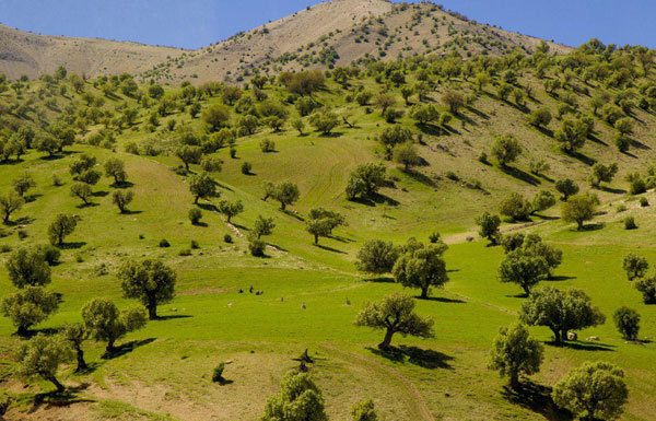 بهار در ایلام؛ «عروس زاگرس» مقصدی متفاوت برای طبیعتگردان – خبرگزاری مهر | اخبار ایران و جهان