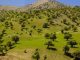 بهار در ایلام؛ «عروس زاگرس» مقصدی متفاوت برای طبیعتگردان – خبرگزاری مهر | اخبار ایران و جهان