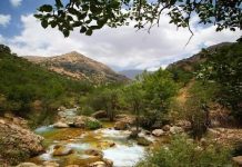 تنگ مهریان یاسوج؛ سرزمین بکر آبشارها و صخرههای افسانهای – خبرگزاری مهر | اخبار ایران و جهان