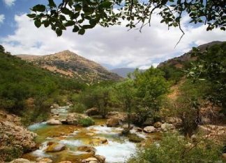 تنگ مهریان یاسوج؛ سرزمین بکر آبشارها و صخرههای افسانهای – خبرگزاری مهر | اخبار ایران و جهان