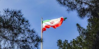 درختی که آغوش گشوده است – خبرگزاری مهر | اخبار ایران و جهان