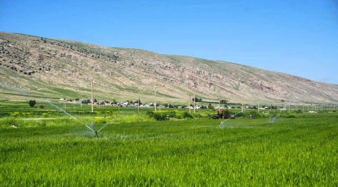 خبرگزاری مهر | اخبار ایران و جهان | Mehr News Agency
