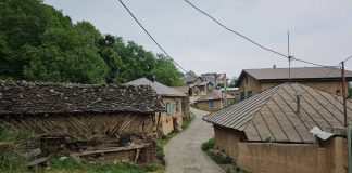 «شانه تراش» در مسیر جهانی شدن