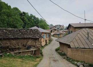 «شانه تراش» در مسیر جهانی شدن