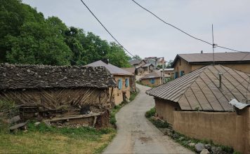 «شانه تراش» در مسیر جهانی شدن