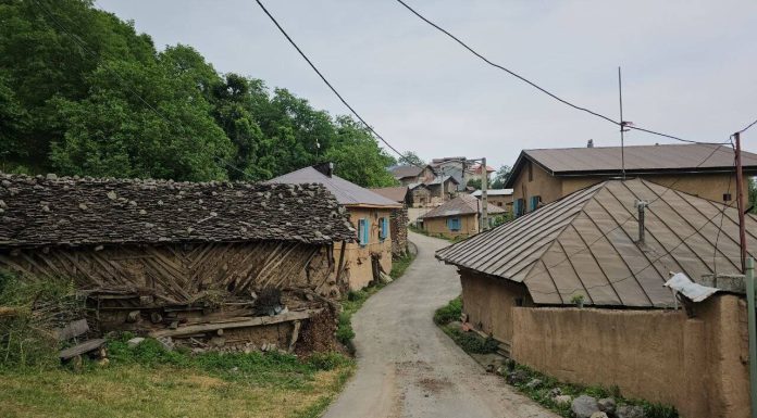 «شانه تراش» در مسیر جهانی شدن