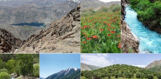 چشماندازهای بیبدیل از گهر تا اشترانکوه؛ پایتخت طبیعت ایران معرفی شود – خبرگزاری مهر | اخبار ایران و جهان