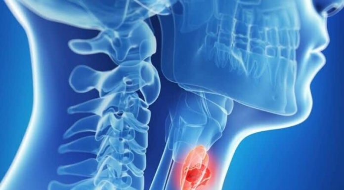 مهمترین بیماریهای غده تیروئید را بشناسید – خبرگزاری مهر | اخبار ایران و جهان