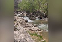 منطقه زیبای گردشگری کاوند درویشان در شهرستان اردل
