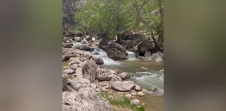 منطقه زیبای گردشگری کاوند درویشان در شهرستان اردل