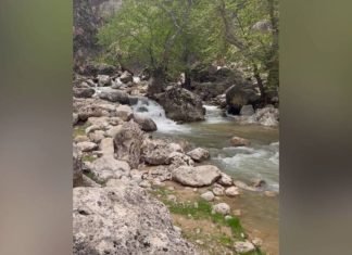 منطقه زیبای گردشگری کاوند درویشان در شهرستان اردل