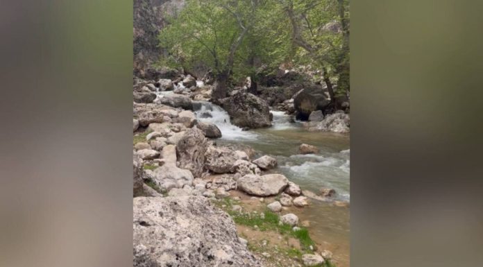 منطقه زیبای گردشگری کاوند درویشان در شهرستان اردل