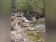 منطقه زیبای گردشگری کاوند درویشان در شهرستان اردل