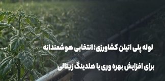 لوله پلی اتیلن کشاورزی؛ انتخابی برای افزایش بهرهوری با هلدینگ زینالی – خبرگزاری مهر | اخبار ایران و جهان