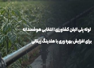 لوله پلی اتیلن کشاورزی؛ انتخابی برای افزایش بهرهوری با هلدینگ زینالی – خبرگزاری مهر | اخبار ایران و جهان