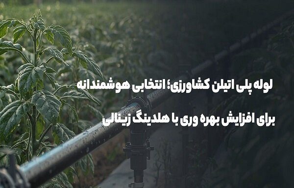 لوله پلی اتیلن کشاورزی؛ انتخابی برای افزایش بهرهوری با هلدینگ زینالی – خبرگزاری مهر | اخبار ایران و جهان