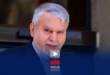 صالحی امیری: جامعه ایران علاقمند است به زیست واقعی خودش برگردد – خبرگزاری مهر | اخبار ایران و جهان