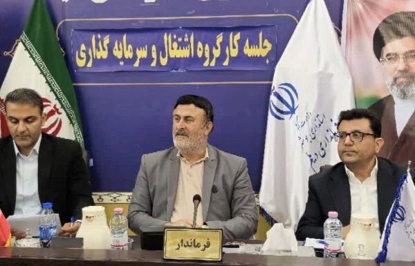 پروانه: تقویت نظام نظارت و ارزیابی طرحهای اشتغالزایی ضروری است – خبرگزاری مهر | اخبار ایران و جهان