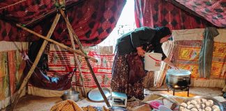 آموزش زنان روستایی و عشایری در حوزه دیجیتال آغاز میشود – خبرگزاری مهر | اخبار ایران و جهان