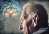 مصرف نمک میتواند مشکلات حافظه را تشدید کند – خبرگزاری مهر | اخبار ایران و جهان