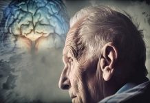 مصرف نمک میتواند مشکلات حافظه را تشدید کند – خبرگزاری مهر | اخبار ایران و جهان