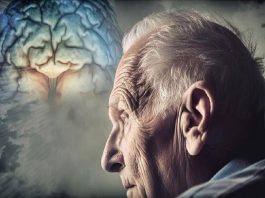 مصرف نمک میتواند مشکلات حافظه را تشدید کند – خبرگزاری مهر | اخبار ایران و جهان
