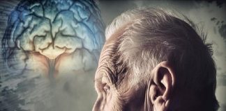 مصرف نمک میتواند مشکلات حافظه را تشدید کند – خبرگزاری مهر | اخبار ایران و جهان
