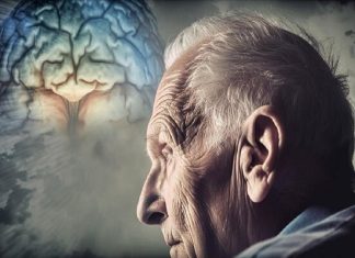 مصرف نمک میتواند مشکلات حافظه را تشدید کند – خبرگزاری مهر | اخبار ایران و جهان