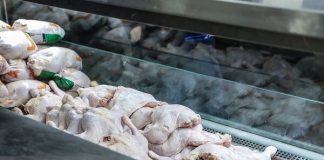 ماجرای مصرف جگر مرغ برای سالمندان – خبرگزاری مهر | اخبار ایران و جهان