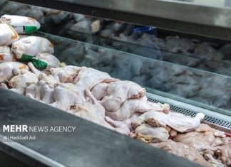 ماجرای مصرف جگر مرغ برای سالمندان – خبرگزاری مهر | اخبار ایران و جهان